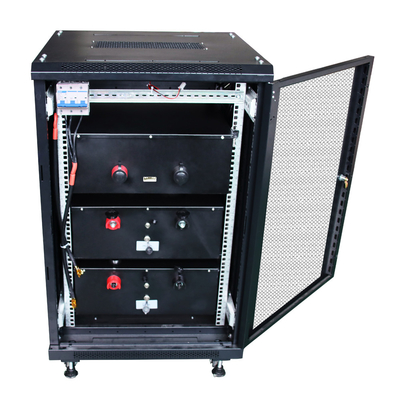 De praktische Batterij van BMS Lithium LiFePO4, de Batterijpak van Ultraportable LiFePO4 EV